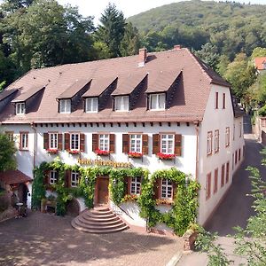 Die Hirschgasse Heidelberg